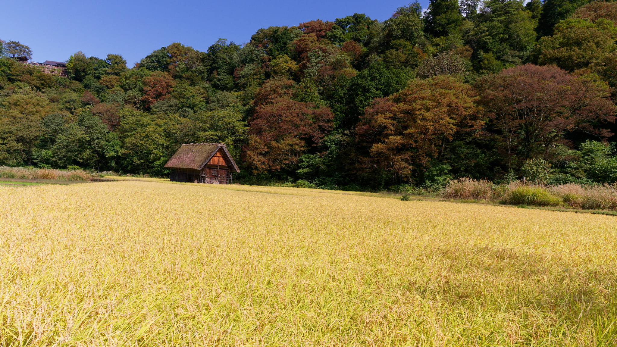 06-Shirakawa-go (4).jpg